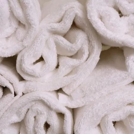 La Florangerie - & Piscine Hotel