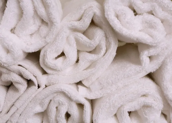 La Florangerie - & Piscine Hotel